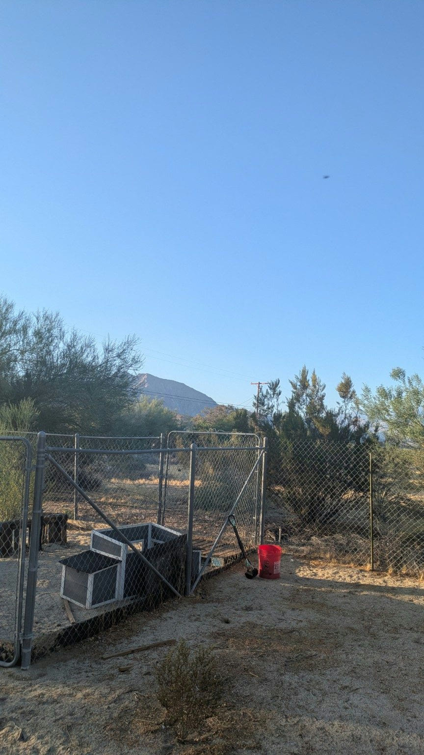 The view from the neighborhood at Ark Unit 1: a fenced desert yard, creosote brush, the mountains, and a utility pole in the distance