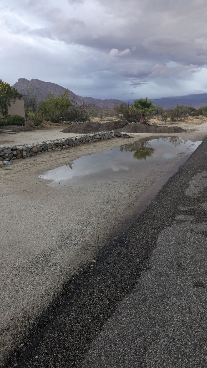 Runoff from the road collecting along the berm.