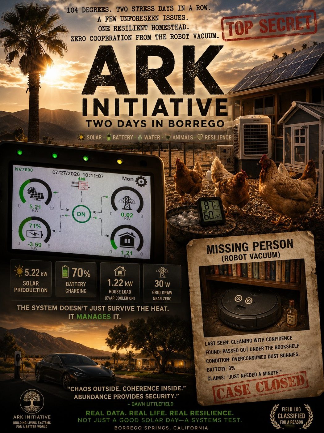 Two Days in Borrego field report poster